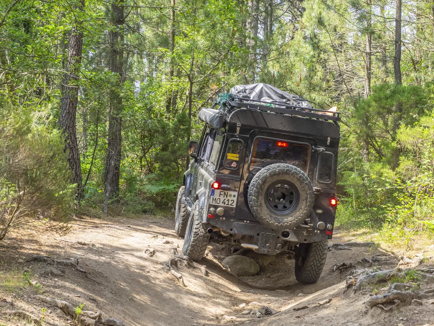 Defender climbing over roots on a forest track